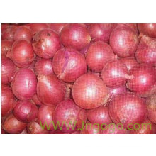 Exportieren Sie hochwertige neue Ernte Red Onion